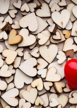 Wooden hearts, one red heart on the heart background.